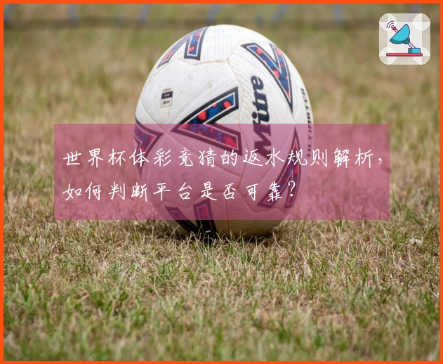 世界杯体彩竞猜的返水规则解析，如何判断平台是否可靠？