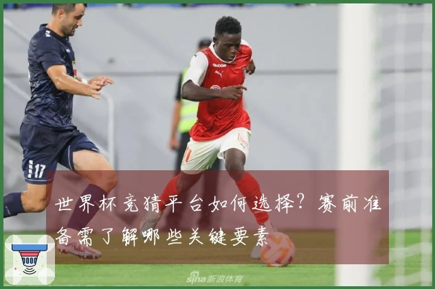 世界杯竞猜平台如何选择？赛前准备需了解哪些关键要素