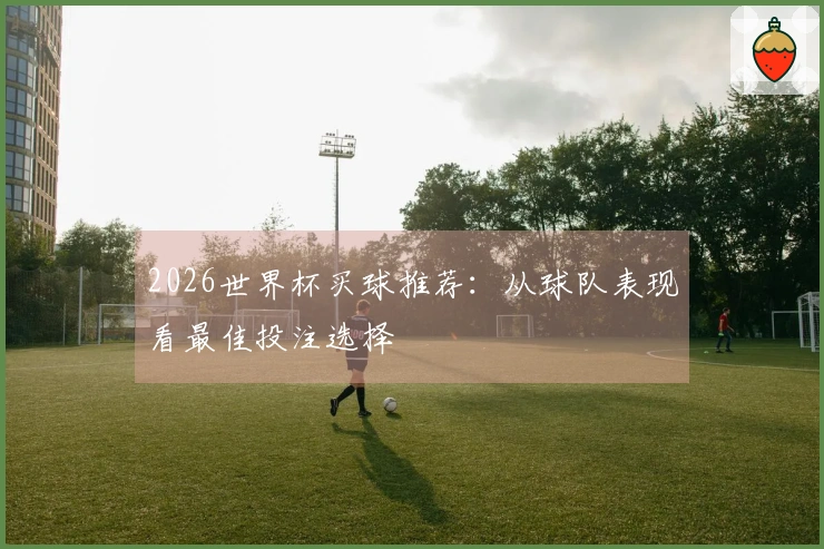 2026世界杯买球推荐：从球队表现看最佳投注选择