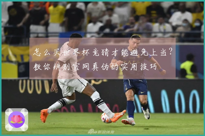怎么买世界杯竞猜才能避免上当？教你辨别官网真伪的实用技巧